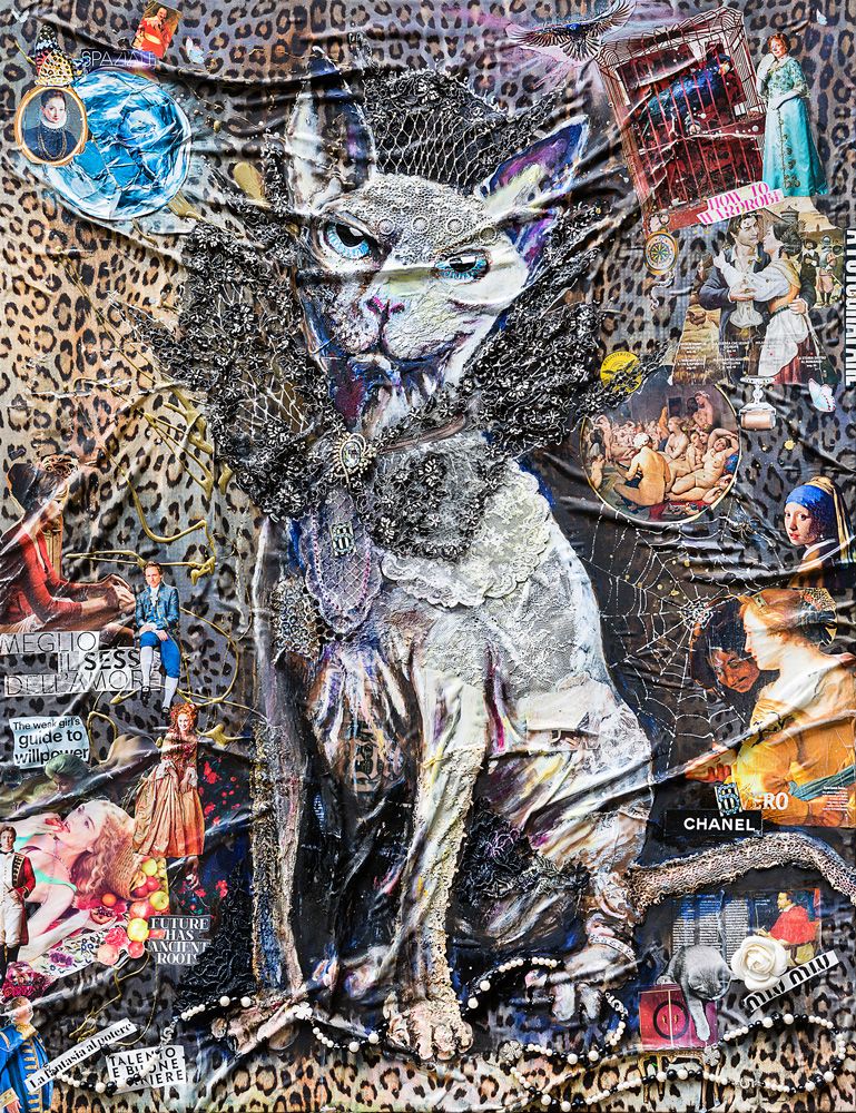 Stregatto 130X100Cm, Anno 2016/2017