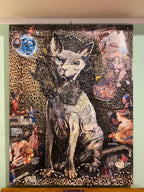 Stregatto 130X100Cm, Anno 2016/2017